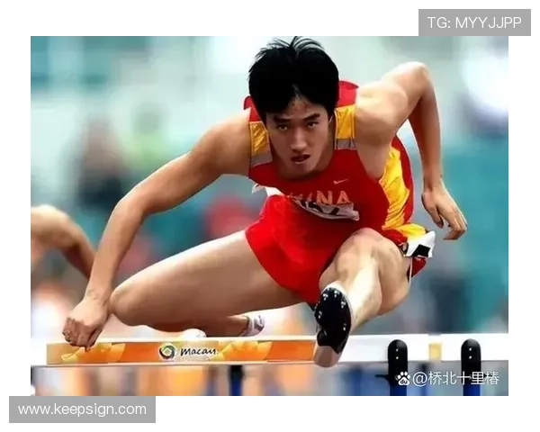 传奇球场背后的奋斗与荣耀 体育明星励志成长故事全纪录